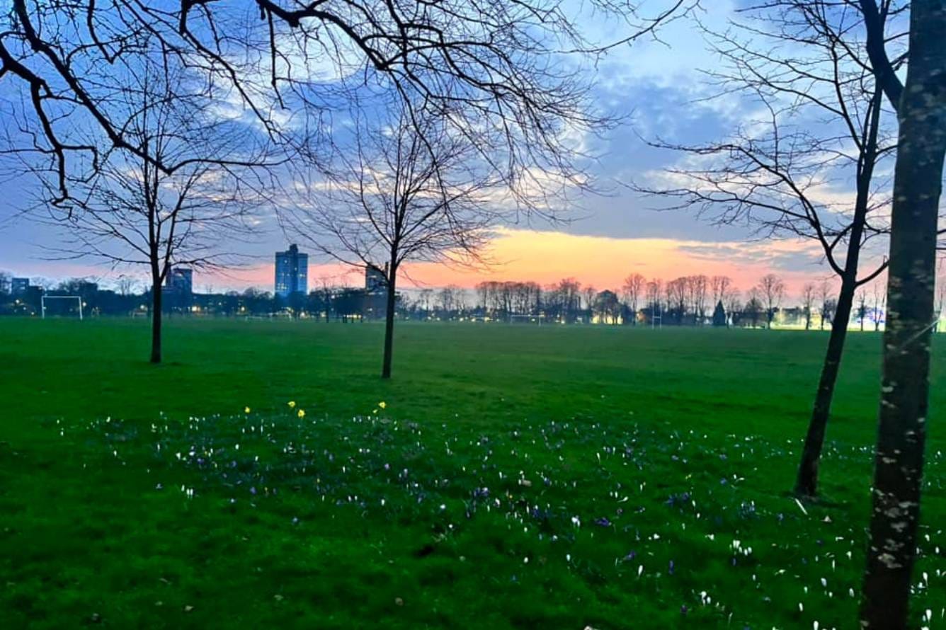 Photo of a sunset over Victoria Park. Credit: Smital Hannon